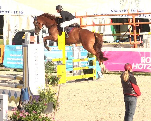 Concours Hippique Zuoz 2018