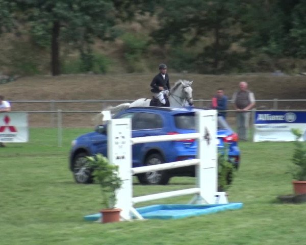 Reitturnier Gardelegen 2018