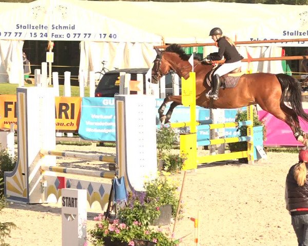 Concours Hippique Zuoz 2018