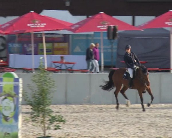Reitturnier Grafenrheinfeld 2018