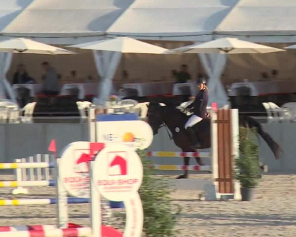 Reitturnier Grafenrheinfeld 2018