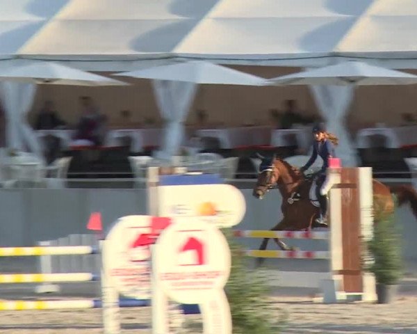 Reitturnier Grafenrheinfeld 2018