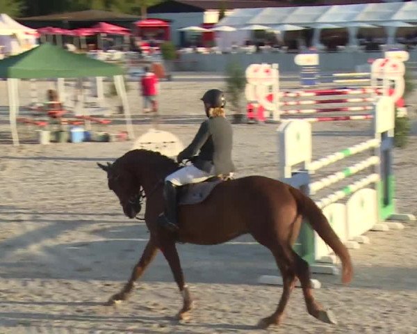 Reitturnier Grafenrheinfeld 2018