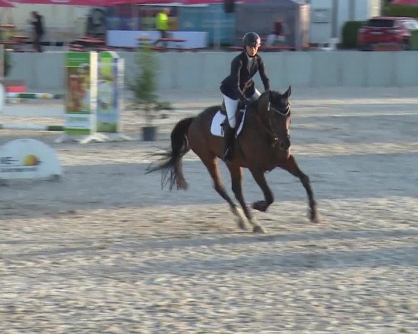Reitturnier Grafenrheinfeld 2018