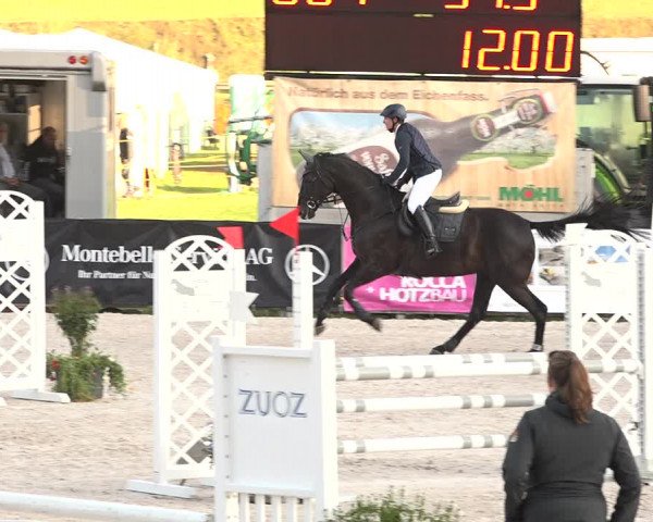 Concours Hippique Zuoz 2018