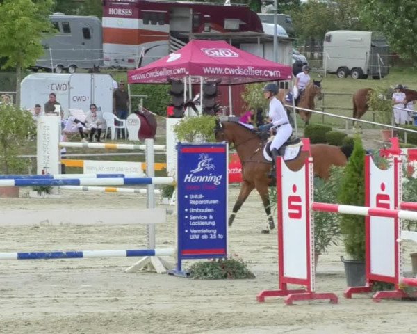Reitturnier Oberderdingen 2018
