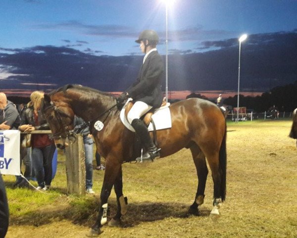 jumper Double-You (KWPN (Royal Dutch Sporthorse), 2003, from Ovidius)