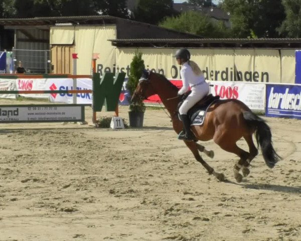 Reitturnier Oberderdingen 2018