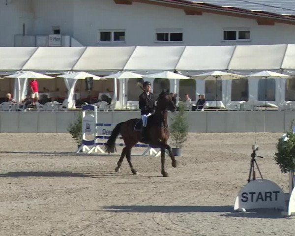 Reitturnier Grafenrheinfeld 2018