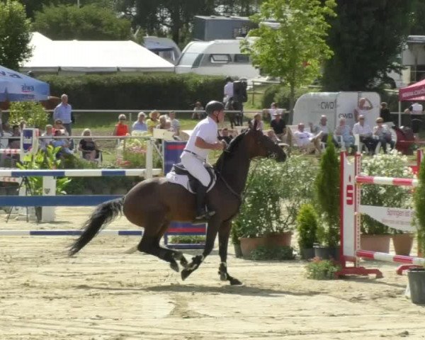 Reitturnier Oberderdingen 2018
