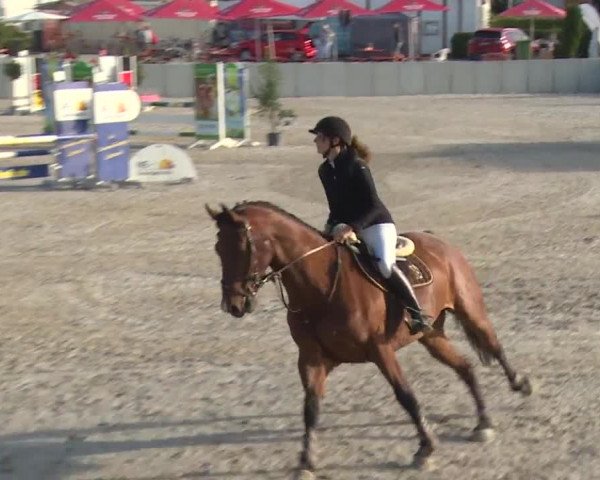 Reitturnier Grafenrheinfeld 2018