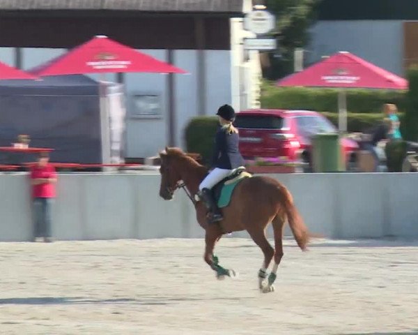 Reitturnier Grafenrheinfeld 2018