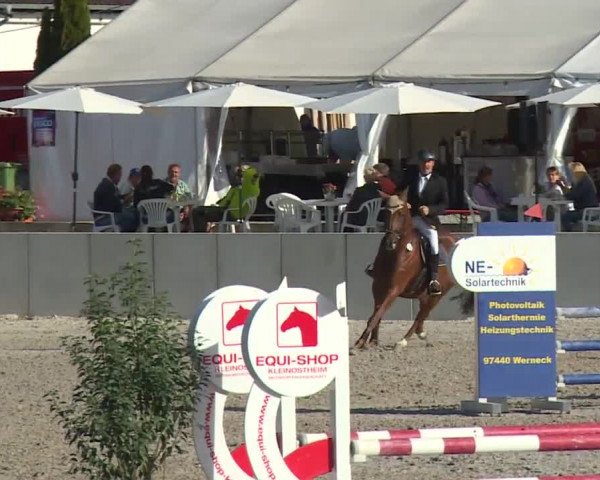 Reitturnier Grafenrheinfeld 2018