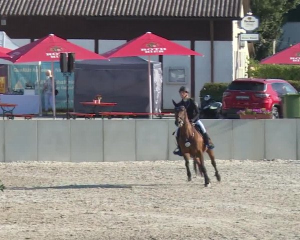 Reitturnier Grafenrheinfeld 2018