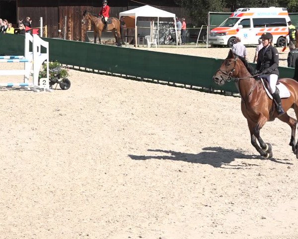 Concours Hippique Zuoz 2018