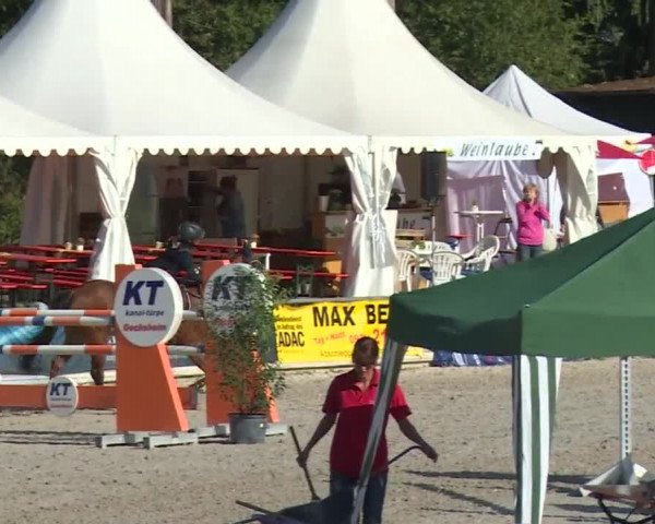 Reitturnier Grafenrheinfeld 2018
