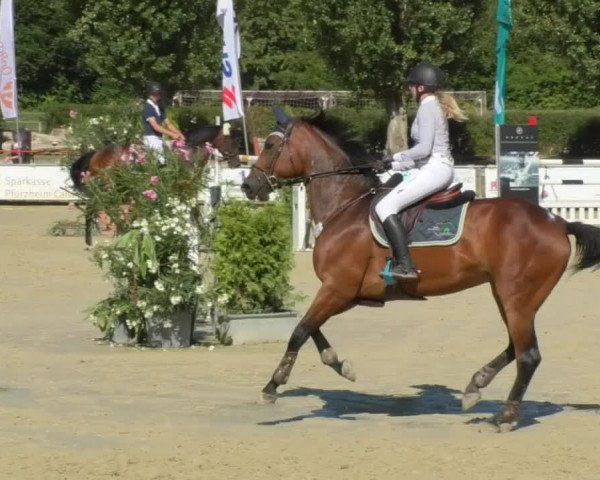 Reitturnier Oberderdingen 2018
