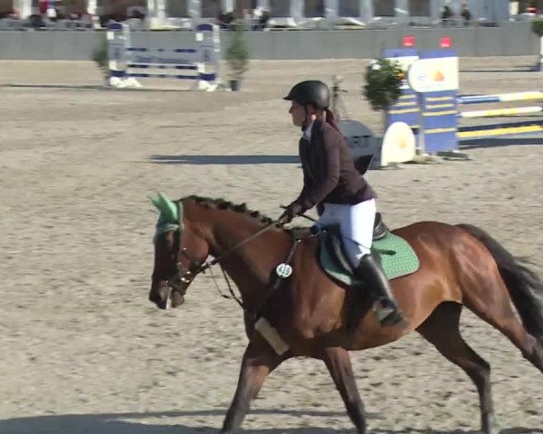 Reitturnier Grafenrheinfeld 2018