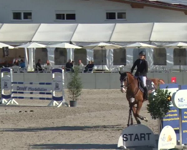 Reitturnier Grafenrheinfeld 2018