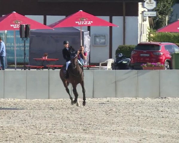 Reitturnier Grafenrheinfeld 2018