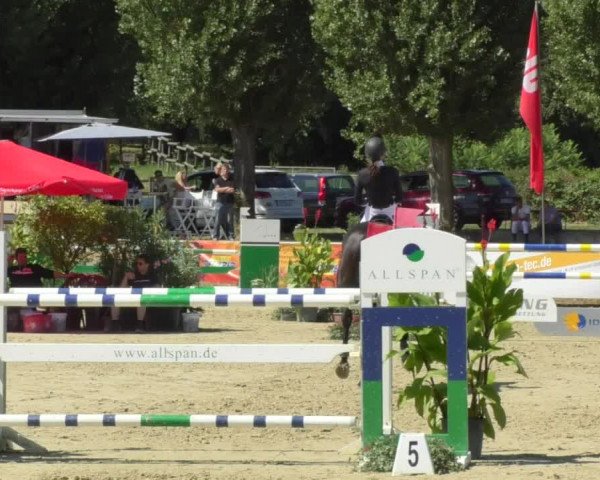 Reitturnier Oberderdingen 2018