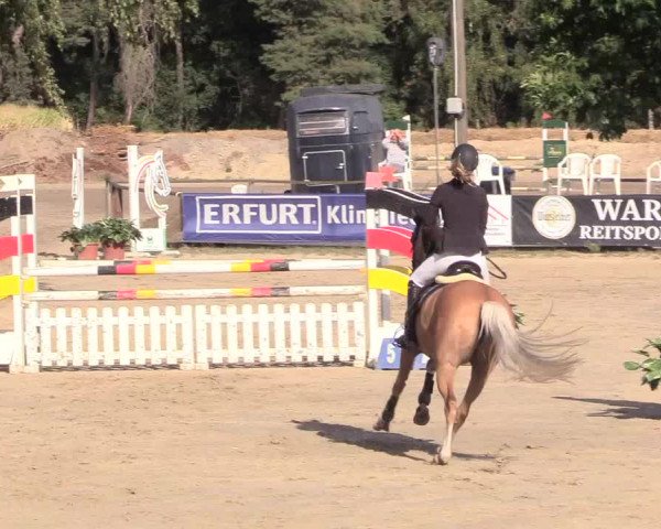 Waltroper Reitertage 2018