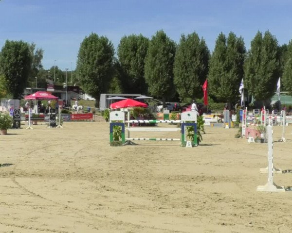 Reitturnier Oberderdingen 2018