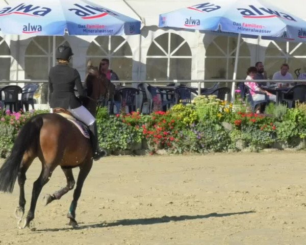 Reitturnier Oberderdingen 2018