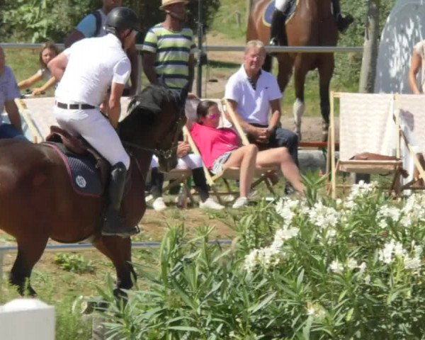 Reitturnier Oberderdingen 2018