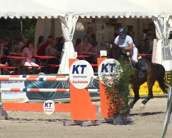 Reitturnier Grafenrheinfeld 2018