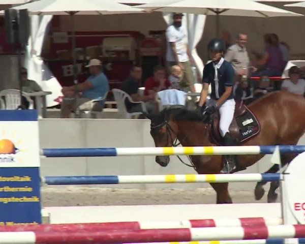 Reitturnier Grafenrheinfeld 2018