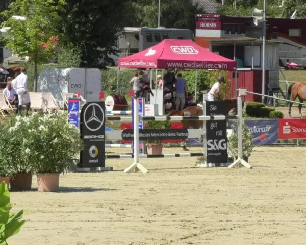Reitturnier Oberderdingen 2018