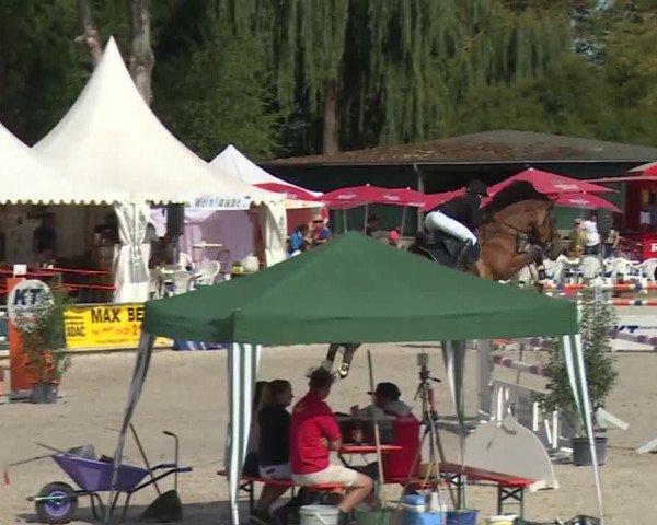 Reitturnier Grafenrheinfeld 2018