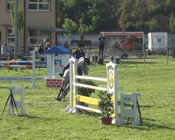 Reitturnier Gardelegen 2018