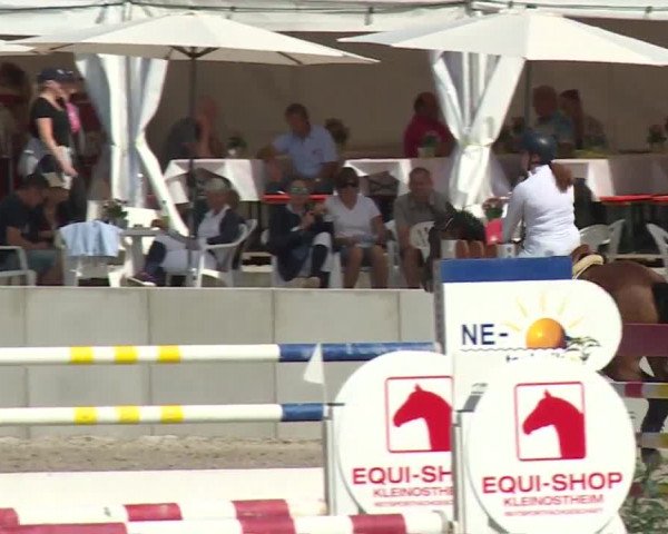 Reitturnier Grafenrheinfeld 2018