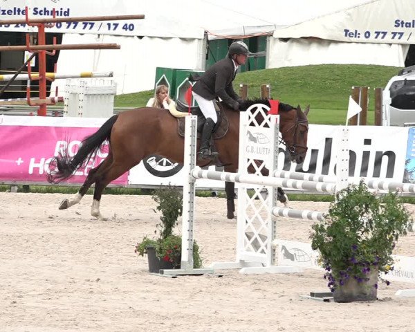 Concours Hippique Zuoz 2018