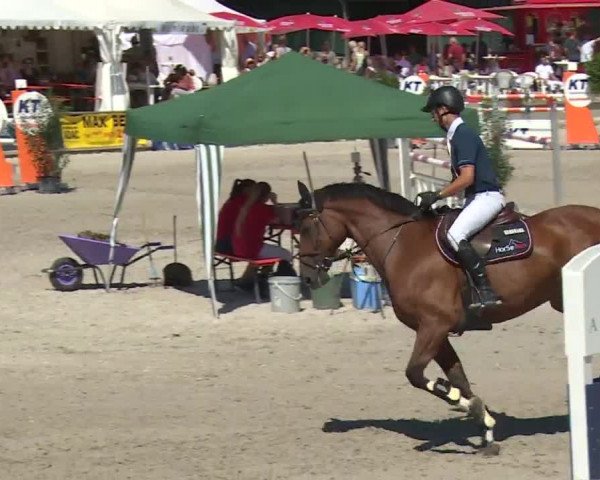 Reitturnier Grafenrheinfeld 2018