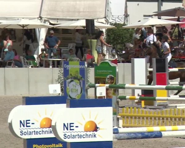 Reitturnier Grafenrheinfeld 2018
