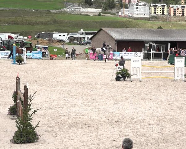 Concours Hippique Zuoz 2018