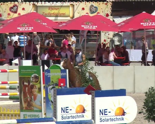 Reitturnier Grafenrheinfeld 2018