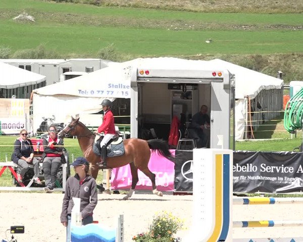 Concours Hippique Zuoz 2018