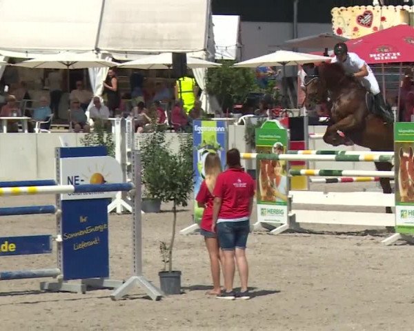Reitturnier Grafenrheinfeld 2018