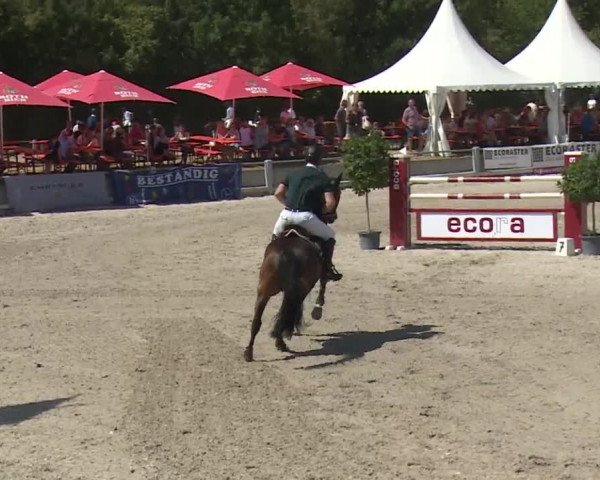 Reitturnier Grafenrheinfeld 2018