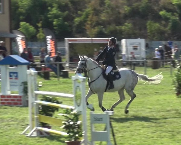 Reitturnier Gardelegen 2018