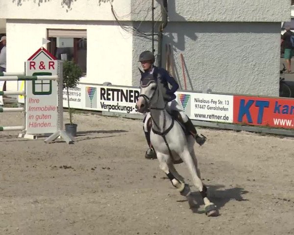 Reitturnier Grafenrheinfeld 2018