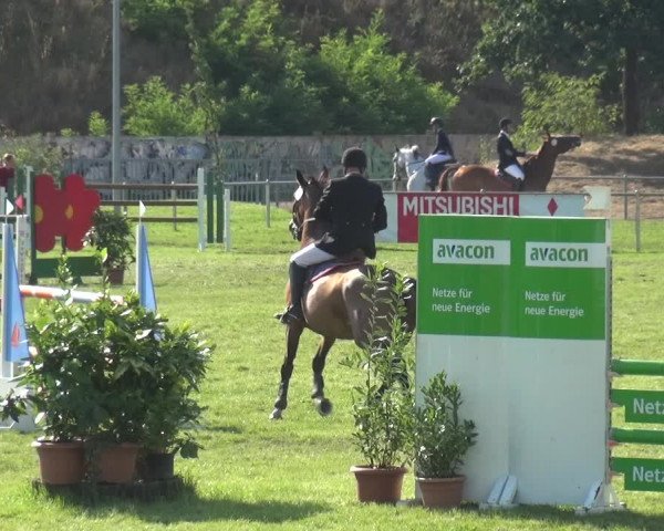 Reitturnier Gardelegen 2018