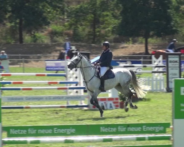Reitturnier Gardelegen 2018