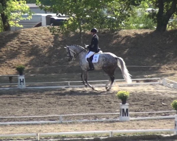 Reitturnier Gardelegen 2018