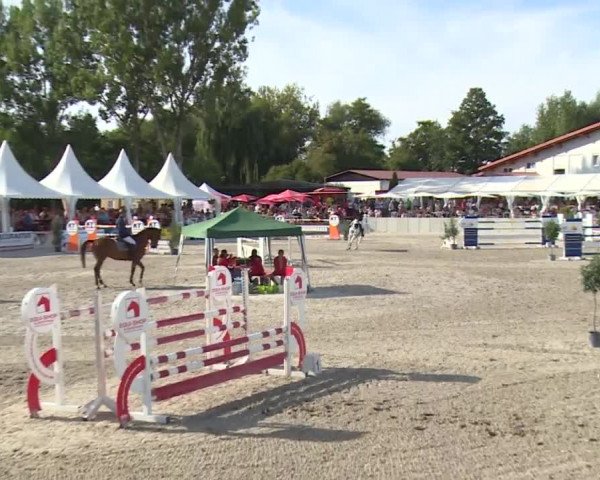 Reitturnier Grafenrheinfeld 2018