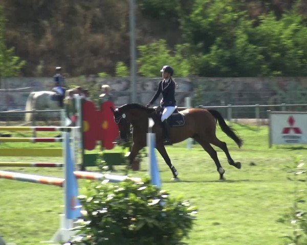 Reitturnier Gardelegen 2018